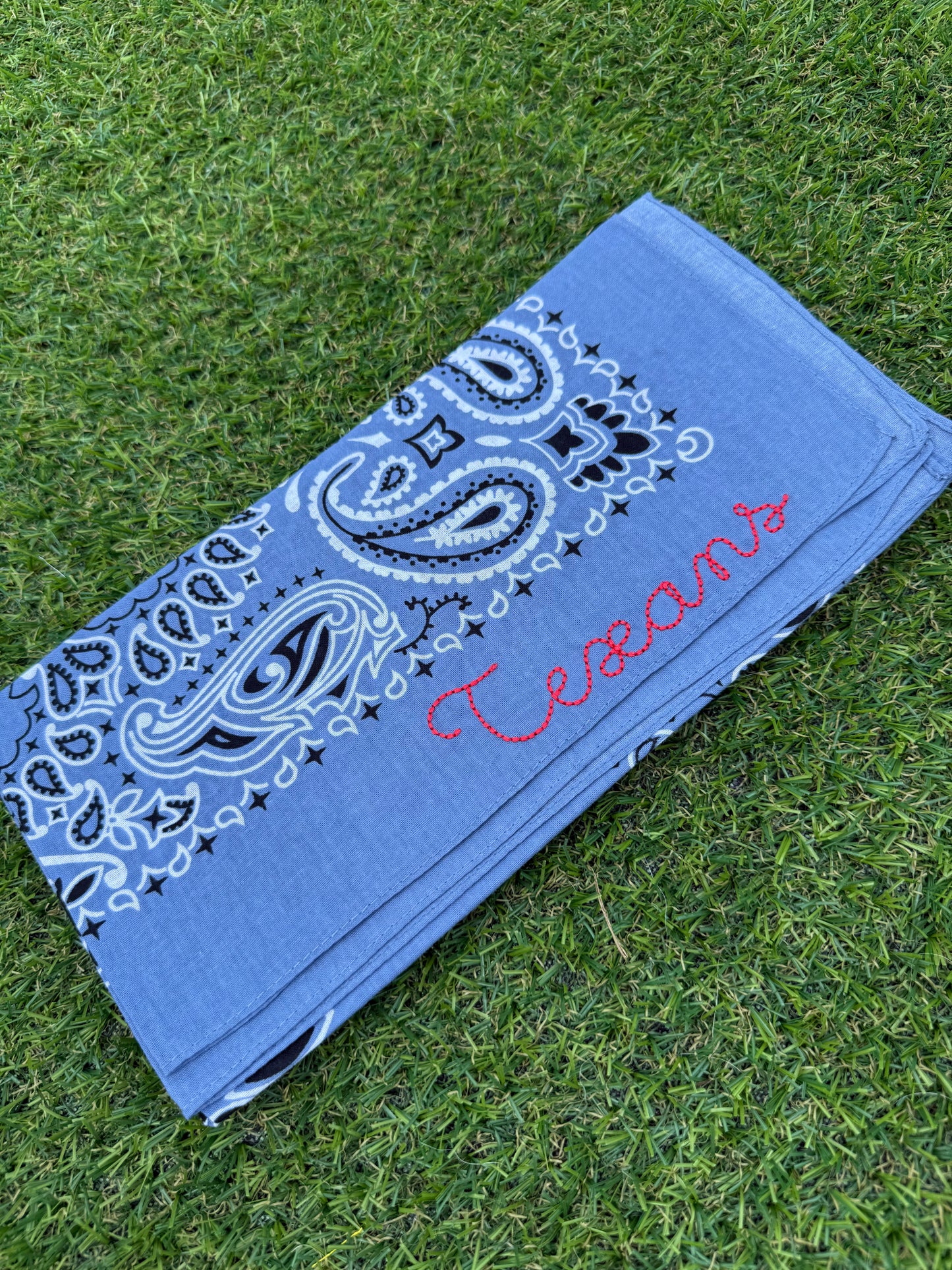 Texans Bandana