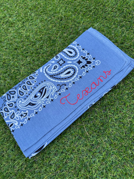 Texans Bandana