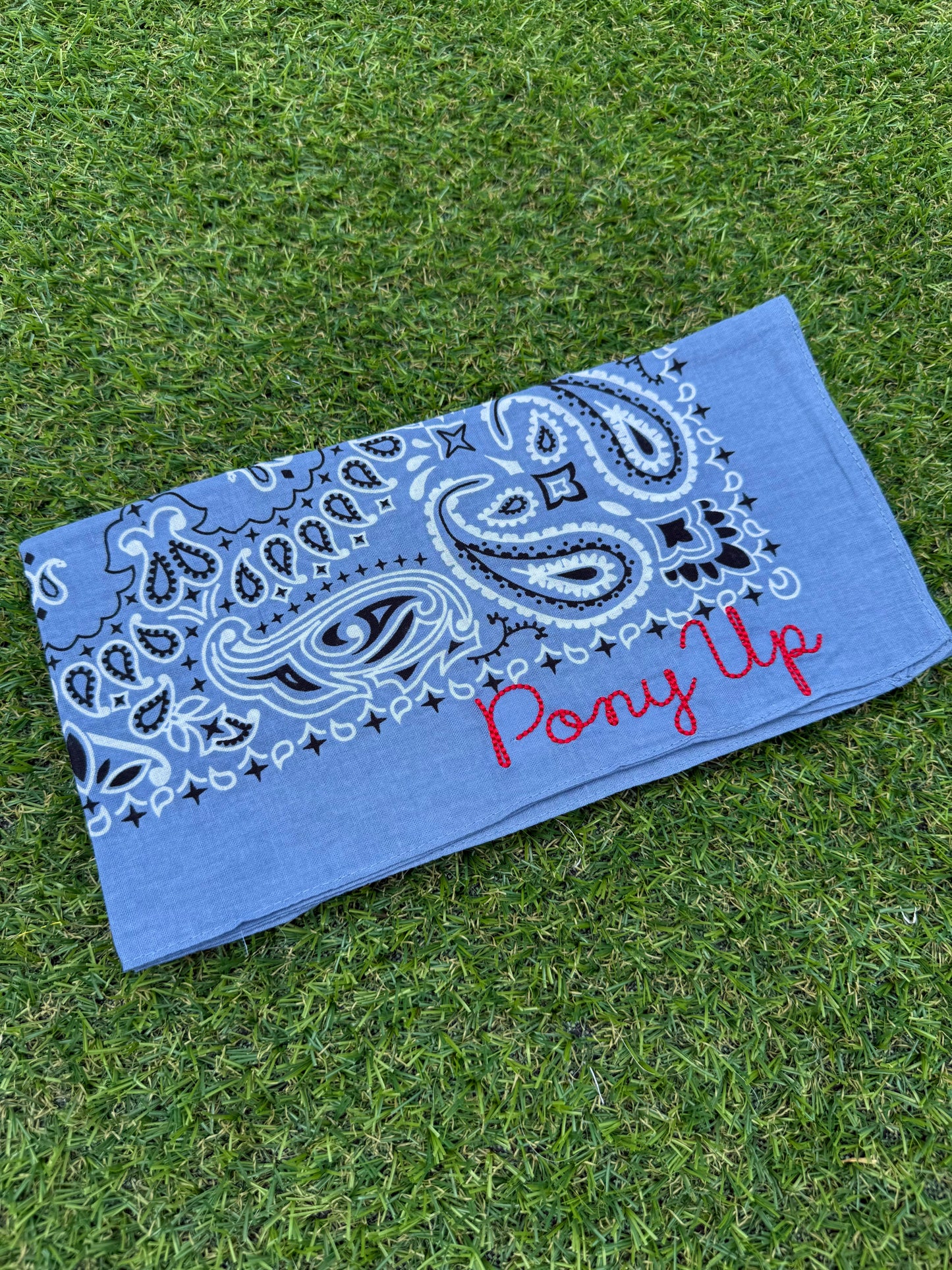 Pony Up Bandana