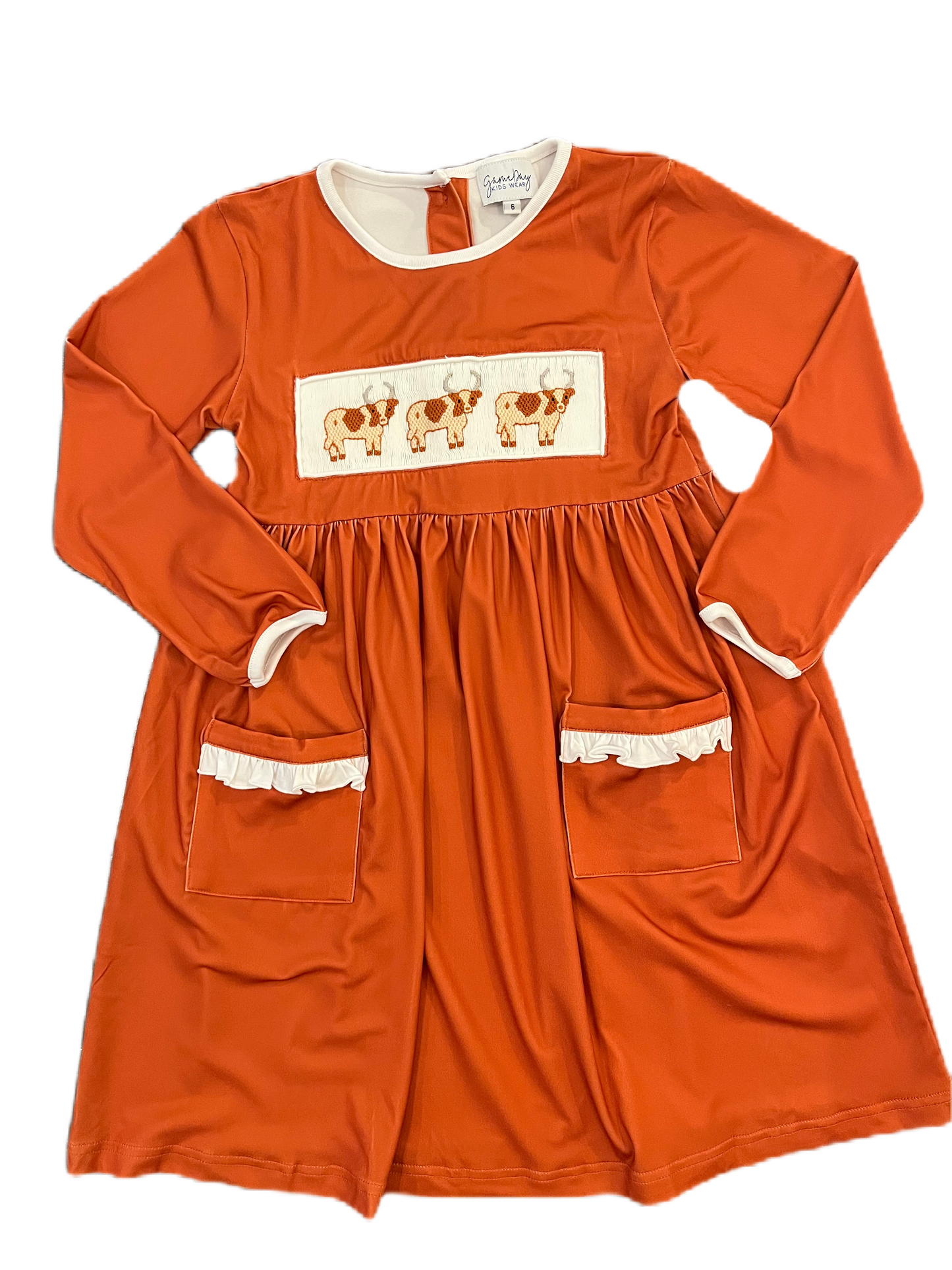 Smock Longhorn Longsleeve Pocket Dress