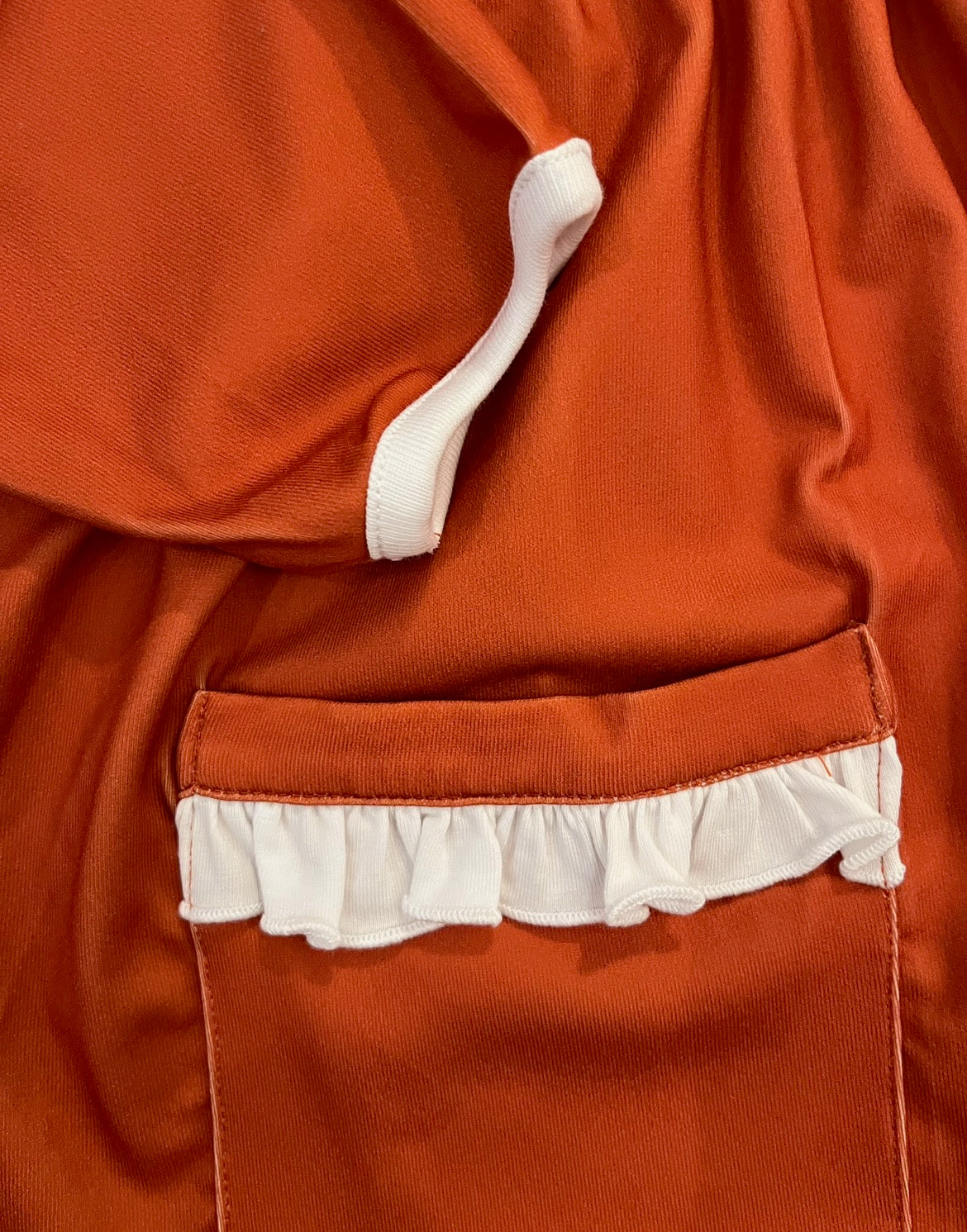 Smock Longhorn Longsleeve Pocket Dress